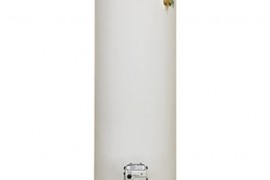 ProMax® 40-Gallon Gas Water Heater GCV-40